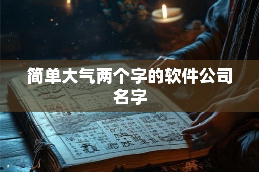简单大气两个字的软件公司名字