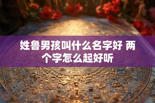 姓鲁男孩叫什么名字好 两个字怎么起好听