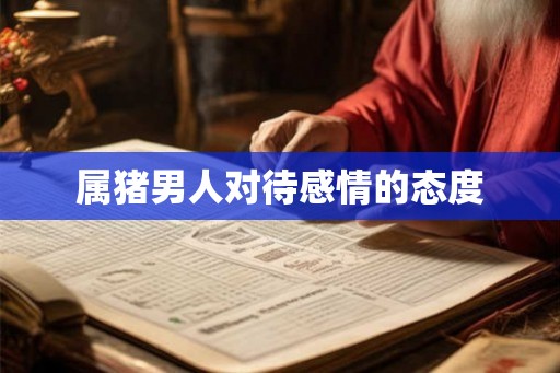 属猪男人对待感情的态度