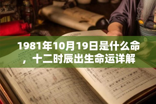 1981年10月19日是什么命，十二时辰出生命运详解