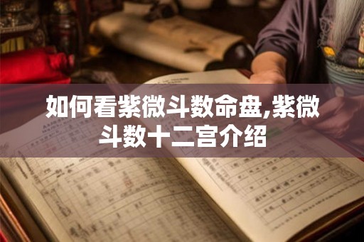 如何看紫微斗数命盘,紫微斗数十二宫介绍