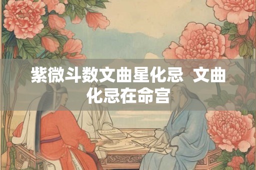 紫微斗数文曲星化忌  文曲化忌在命宫