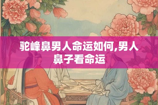 驼峰鼻男人命运如何,男人鼻子看命运 驼峰鼻男人命运如何,男人鼻子看命运