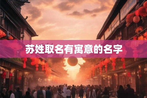 苏姓取名有寓意的名字