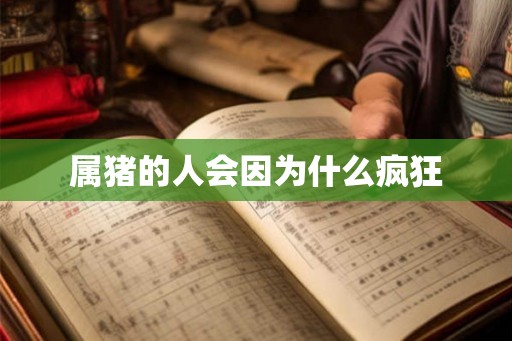 属猪的人会因为什么疯狂