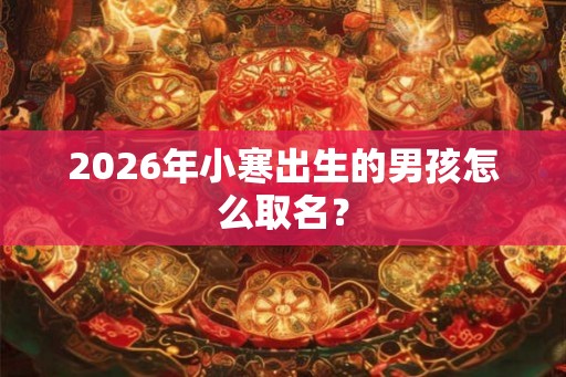 2026年小寒出生的男孩怎么取名？
