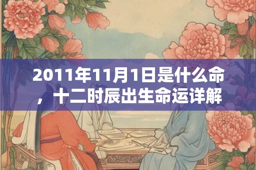 2011年11月1日是什么命，十二时辰出生命运详解