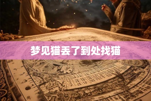 梦见猫丢了到处找猫