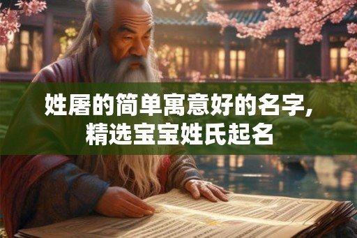 姓屠的简单寓意好的名字,精选宝宝姓氏起名 姓屠的简单寓意好的名字,精选宝宝姓氏起名