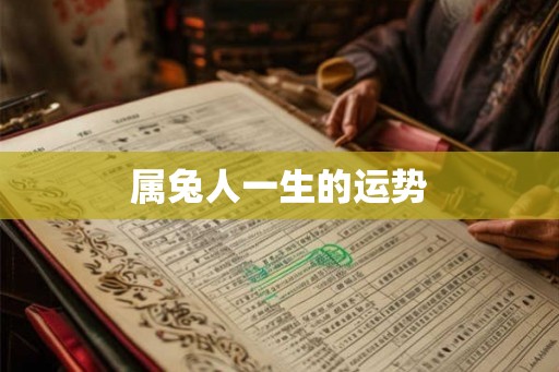 属兔人一生的运势