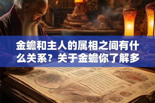 金蟾和主人的属相之间有什么关系？关于金蟾你了解多少？