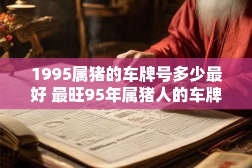 1995属猪的车牌号多少最好 最旺95年属猪人的车牌号