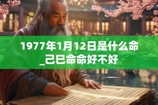1977年1月12日是什么命_己巳命命好不好