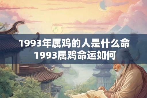 1993年属鸡的人是什么命 1993属鸡命运如何 1993年属鸡的人是什么命 1993属鸡命运如何