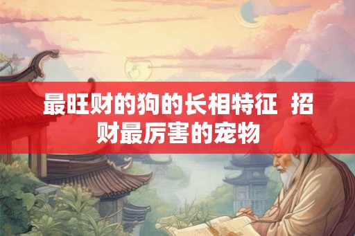最旺财的狗的长相特征 招财最厉害的宠物 最旺财的狗的长相特征 招财最厉害的宠物