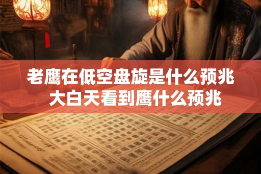 老鹰在低空盘旋是什么预兆  大白天看到鹰什么预兆