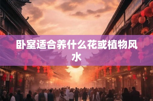 卧室适合养什么花或植物风水