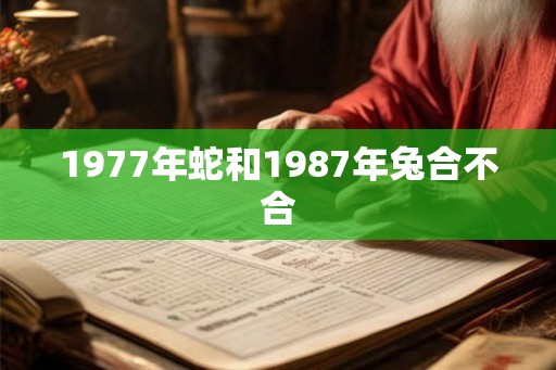 1977年蛇和1987年兔合不合