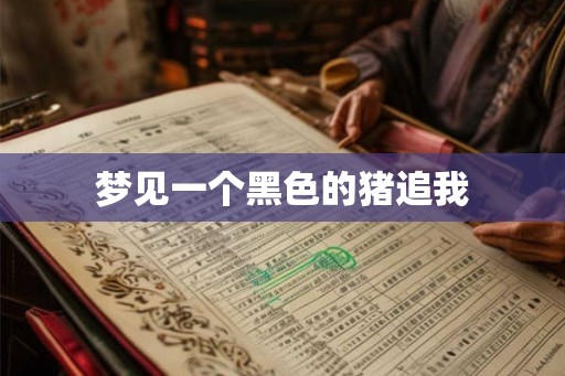 梦见一个黑色的猪追我