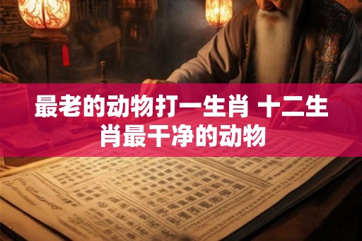 最老的动物打一生肖 十二生肖最干净的动物