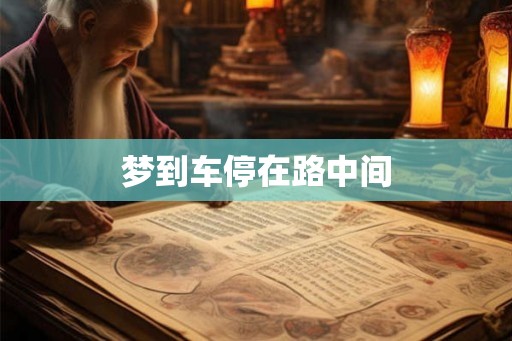 梦到车停在路中间