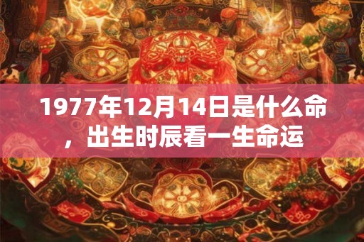 1977年12月14日是什么命，出生时辰看一生命运