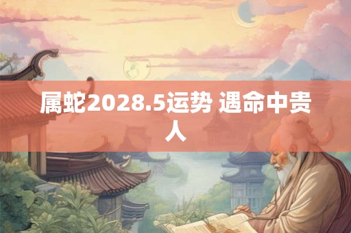 属蛇2028.5运势 遇命中贵人