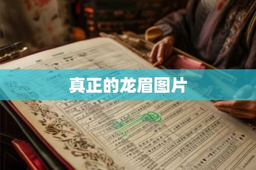 真正的龙眉图片