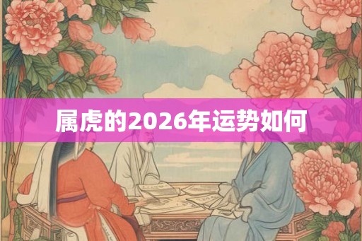 属虎的2026年运势如何