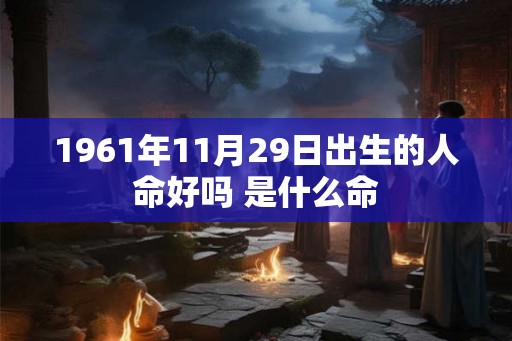 1961年11月29日出生的人命好吗 是什么命