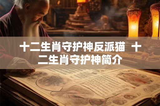 十二生肖守护神反派猫  十二生肖守护神简介