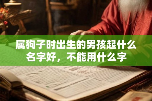 属狗子时出生的男孩起什么名字好，不能用什么字