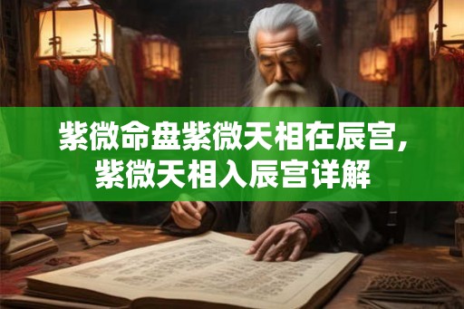 紫微命盘紫微天相在辰宫,紫微天相入辰宫详解 紫微命盘紫微天相在辰宫,紫微天相入辰宫详解