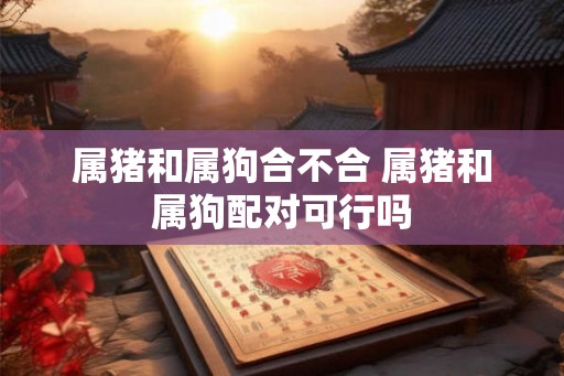 属猪和属狗合不合 属猪和属狗配对可行吗