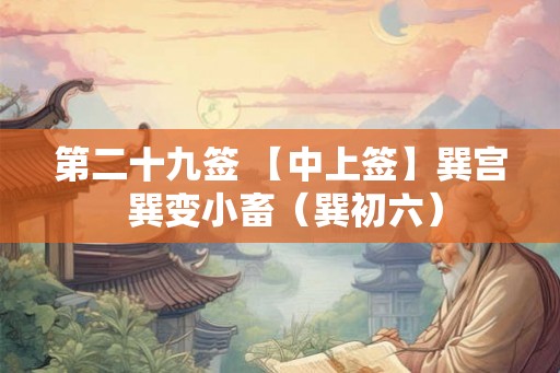 第二十九签 【中上签】巽宫 巽变小畜（巽初六）