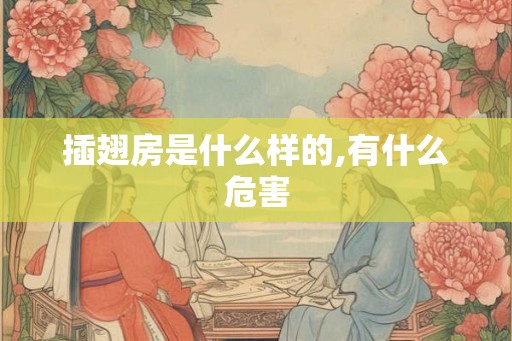 插翅房是什么样的,有什么危害 插翅房是什么样的,有什么危害