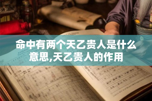 命中有两个天乙贵人是什么意思,天乙贵人的作用 命中有两个天乙贵人是什么意思,天乙贵人的作用