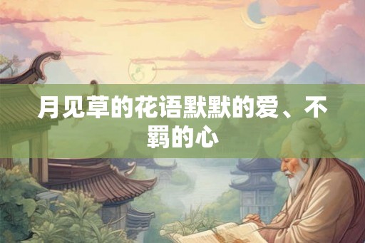 月见草的花语默默的爱、不羁的心
