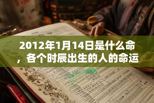 2012年1月14日是什么命，各个时辰出生的人的命运