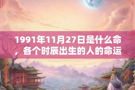 1991年11月27日是什么命，各个时辰出生的人的命运