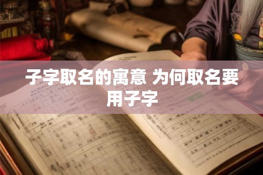 子字取名的寓意 为何取名要用子字