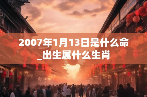 2007年1月13日是什么命_出生属什么生肖