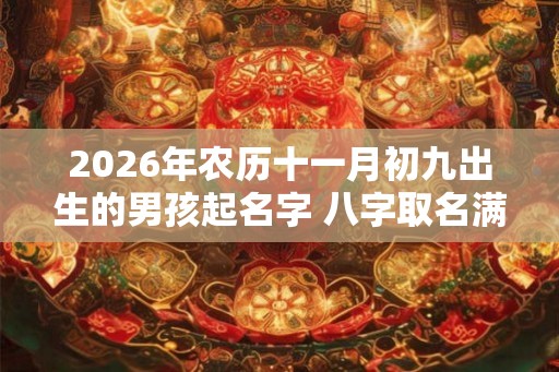 2026年农历十一月初九出生的男孩起名字 八字取名满分大全