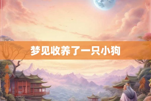 梦见收养了一只小狗