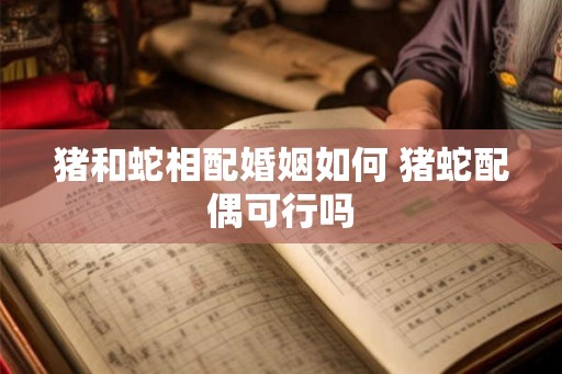 猪和蛇相配婚姻如何 猪蛇配偶可行吗