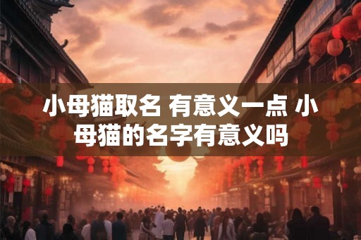 小母猫取名 有意义一点 小母猫的名字有意义吗
