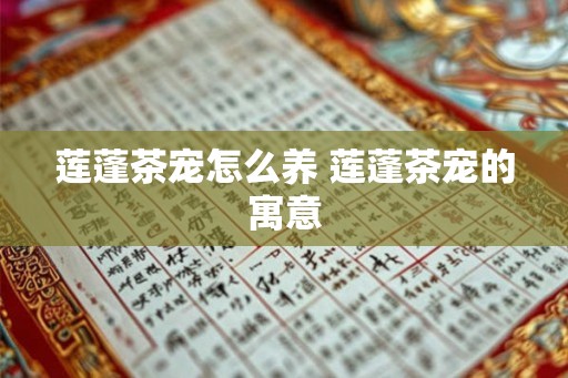 莲蓬茶宠怎么养 莲蓬茶宠的寓意