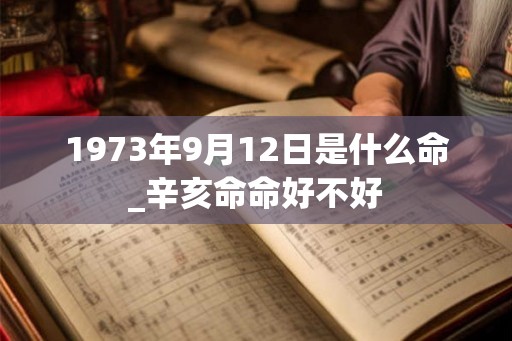1973年9月12日是什么命_辛亥命命好不好
