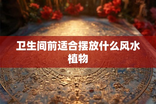 卫生间前适合摆放什么风水植物