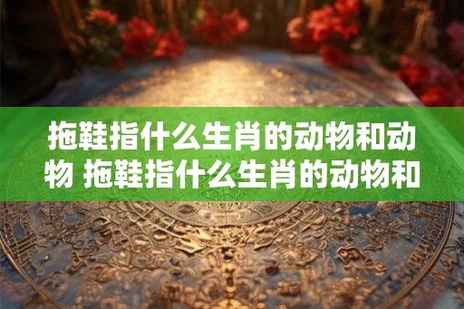 拖鞋指什么生肖的动物和动物 拖鞋指什么生肖的动物和动物呢 拖鞋指什么生肖的动物和动物 拖鞋指什么生肖的动物和动物呢